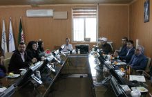رفسنجان؛ اولین شهر هوشمند ایران
