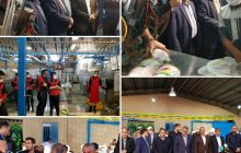 افتتاح کشتارگاه صنعتی مرغ در رفسنجان