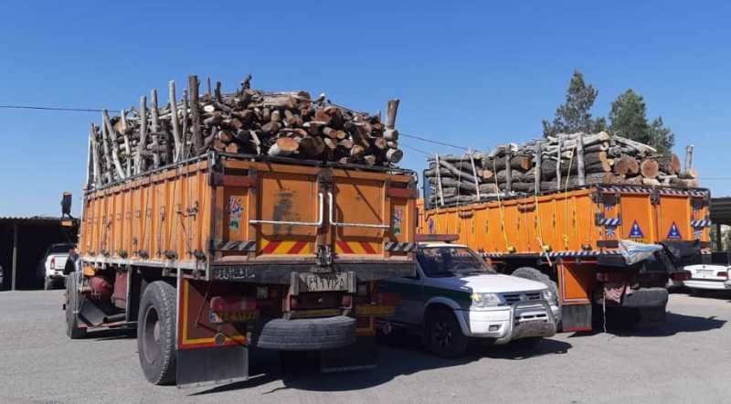 کشف ۴۰ تن چوب قاچاق در رفسنجان