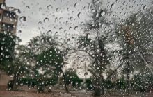 بارش باران در شهرهای استان کرمان/ وزش باد شدید