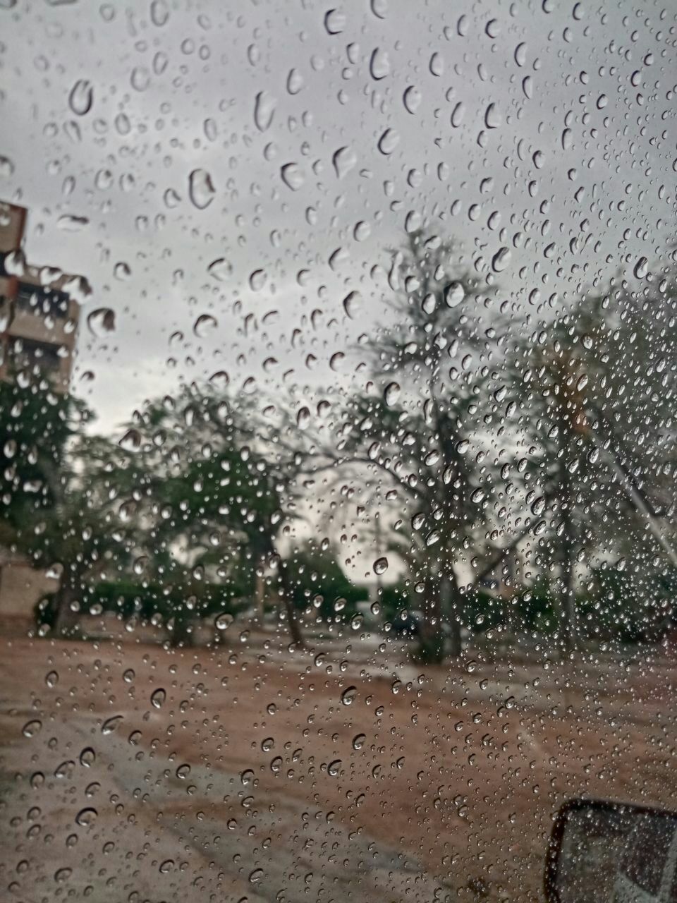 بارش باران در شهرهای استان کرمان/ وزش باد شدید