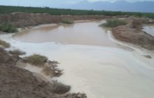 فیلم|جاری شدن رودخانه‌های فصلی رفسنجان در پی بارندگی