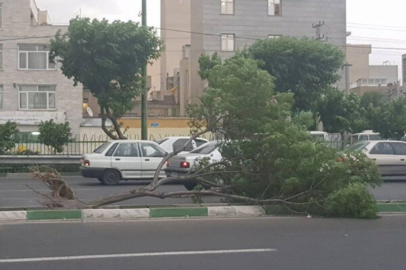 وزش طوفان ارگان‌های خدماتی شهرداری رفسنجان را در حالت آماده‌باش قرار داد