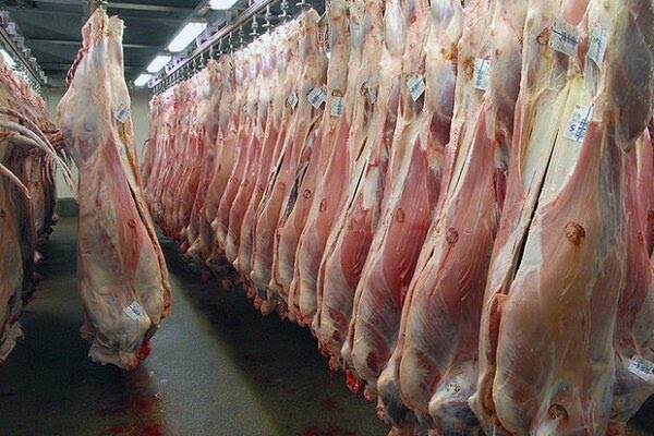 توزیع مرغ و گوشت منجمد تنظیم بازار در رفسنجان