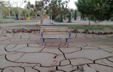 گردوغبار تنهایی بر چهره بوستان معلم شهر رفسنجان بعد از سیلاب