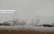 بارش ۵ سانتیمتر برف در رفسنجان/ روی خوش بهمن‌ماه به مردم دیار کویر
