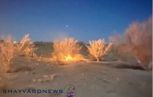 زمین‌خواران ناکام ماندند/تصرف اراضی ملی با آتش زدن درختان جنگلی در منطقه فردوسیه آزادگان رفسنجان